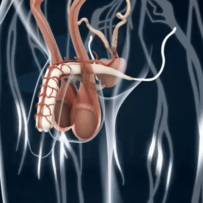 The Scorpion 3-in-1 | Wetenschappelijk Bewezen Stimulatie