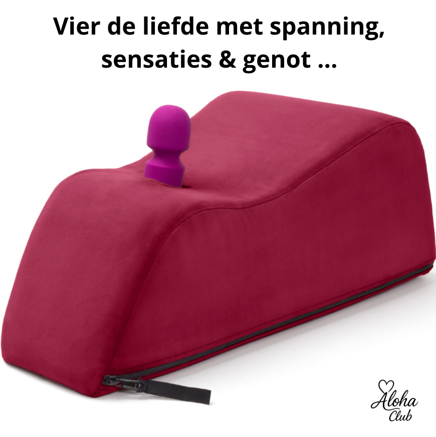 Pleasure Me Pillow | Genieten zonder Grenzen